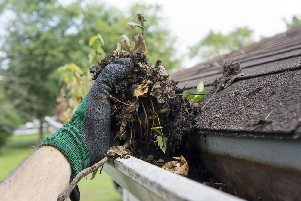 Why Gutter Maintenance Matters for Dallas-Fort Worth Homes 